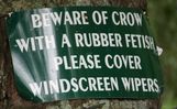 funny-sign-beware-of-crow-with-a-rubber-fetish.jpg