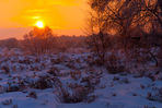 Snow-Sunset.jpg