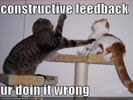 funny-pictures-fighting-cats-constructive-feedback.jpg