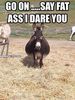 Go-On-Say-Fat-Ass-I-Dare-You-Funny-Donkey-Meme-Image.jpg